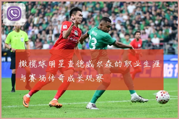 橄榄球明星查德威尔森的职业生涯与赛场传奇成长观察