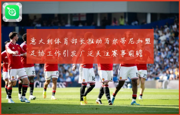 意大利体育部长推动马尔蒂尼加盟足协工作引发广泛关注赛事前瞻