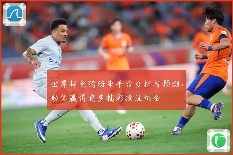 世界杯竞猜赔率平台分析与预测，助你赢得更多精彩投注机会