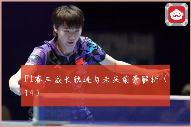 F1赛车成长轨迹与未来前景解析（14）