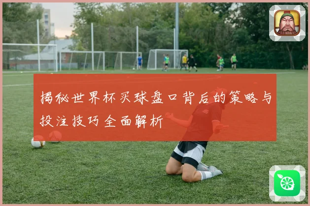 揭秘世界杯买球盘口背后的策略与投注技巧全面解析