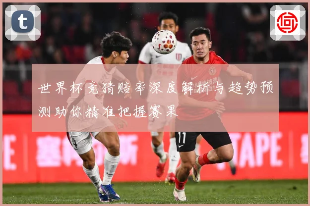 世界杯竞猜赔率深度解析与趋势预测助你精准把握赛果
