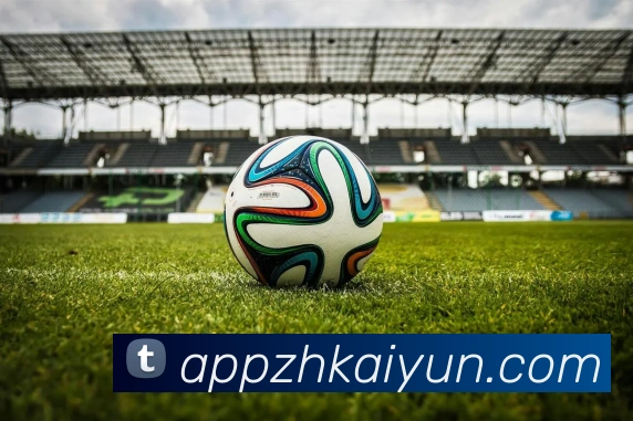 开云平台展示图